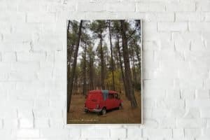 Pine Trees and a red van high quality 1 2 Pine Trees and a red van high quality 1