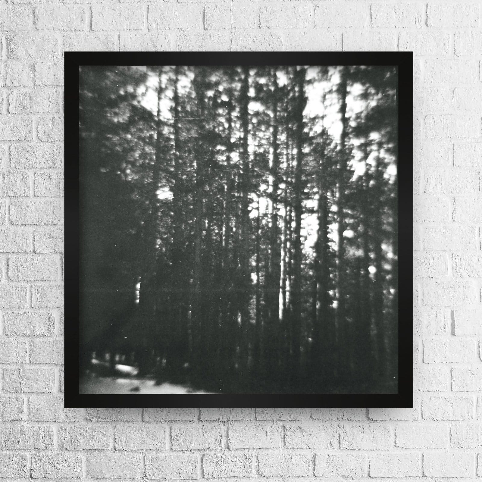 Blurry trees photo high quality 1 Blurry trees photo high quality