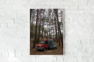 Pine Trees and a red van high quality 2 2 61 1