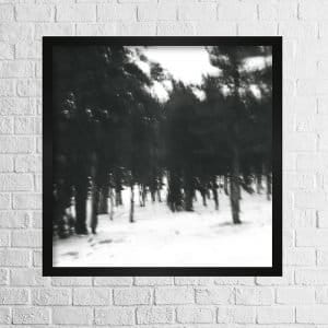 Trees blurry photo 2 Trees blurry photo